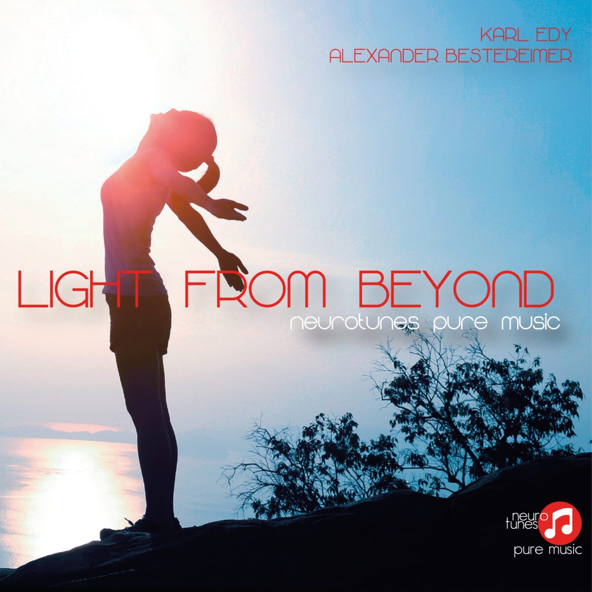 Cover Pure Music Light From Beyond 1