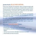 Cover Pure Music Blue Mountain 2